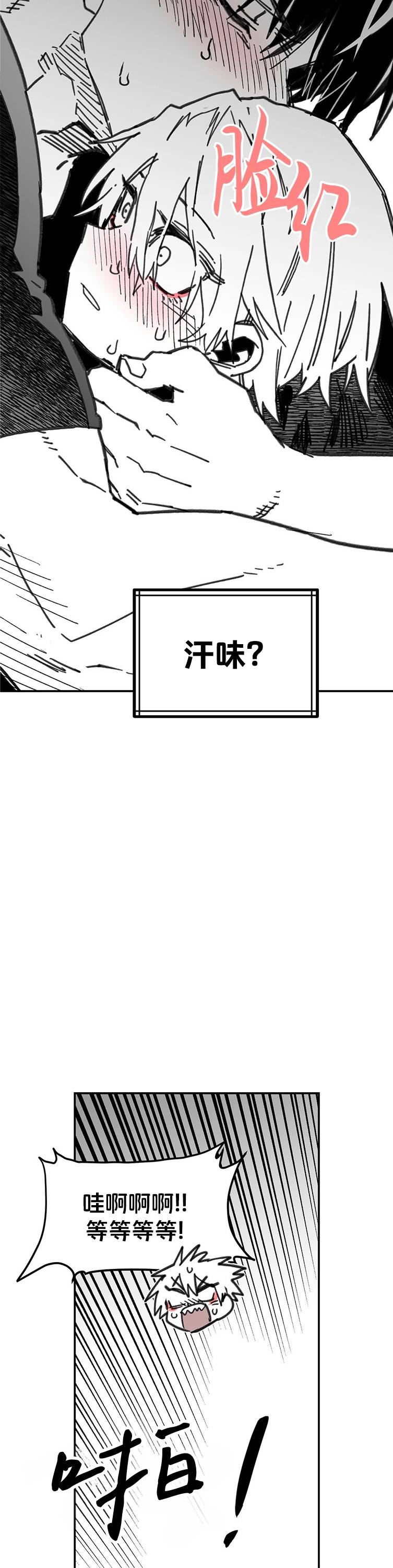 第51话19