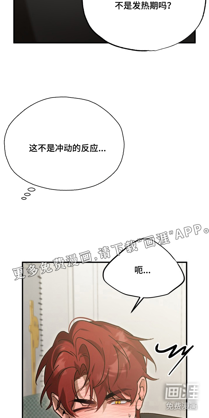 第13话1