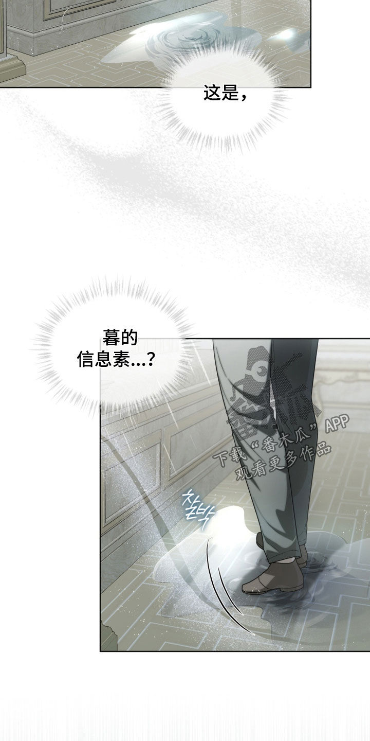 第51话31
