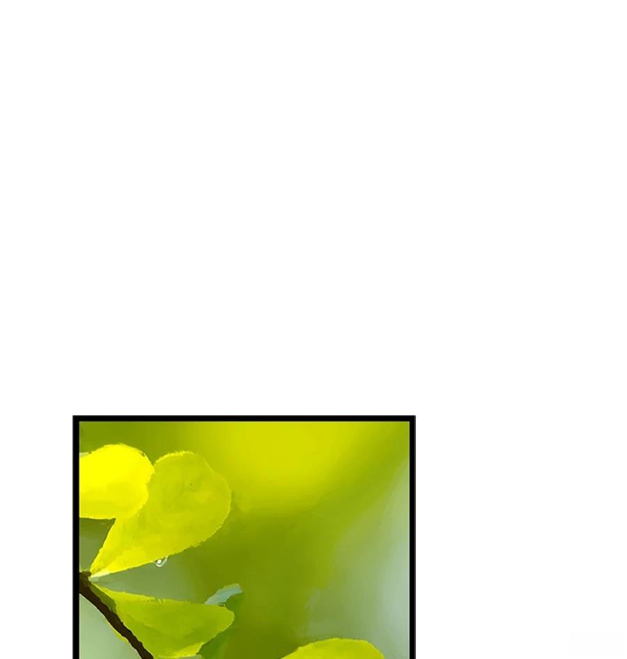 外传172