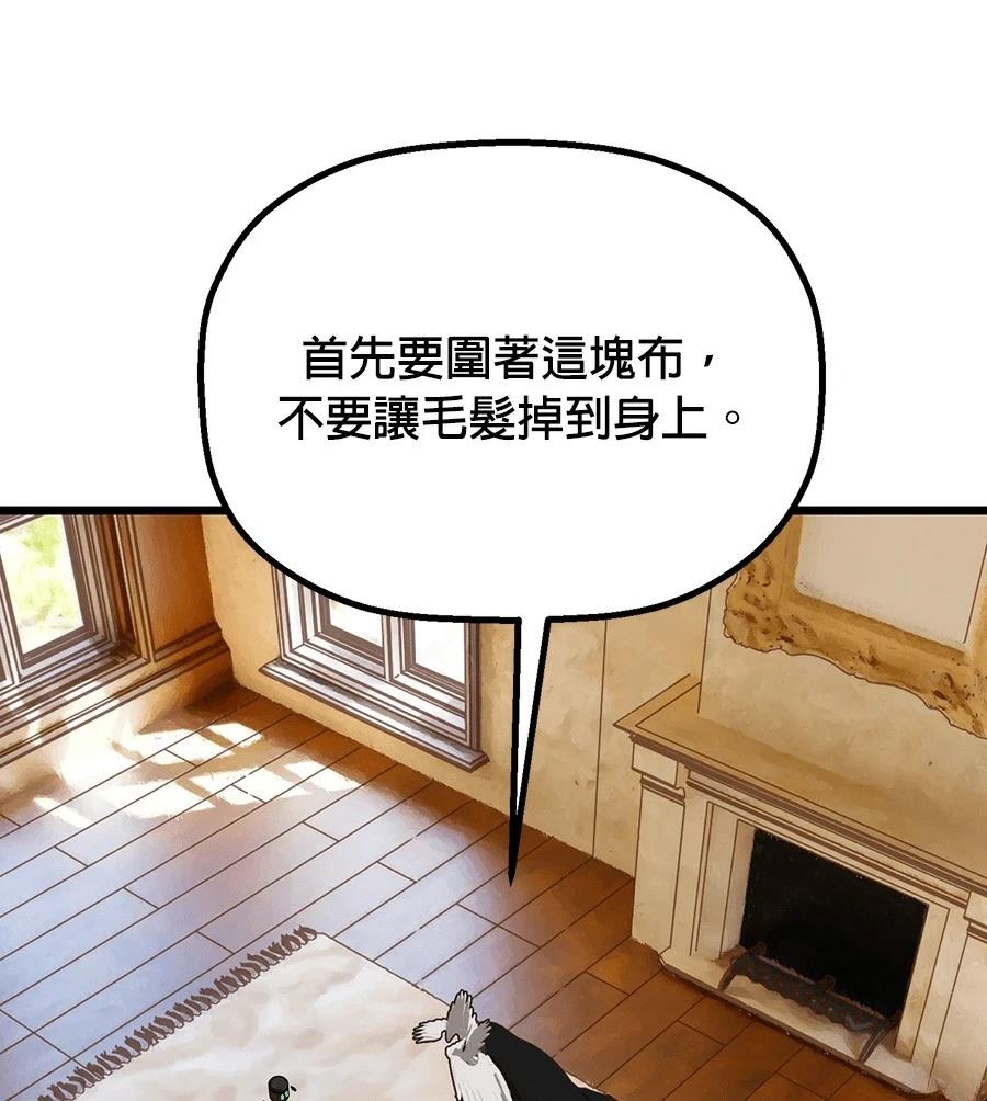 外传339