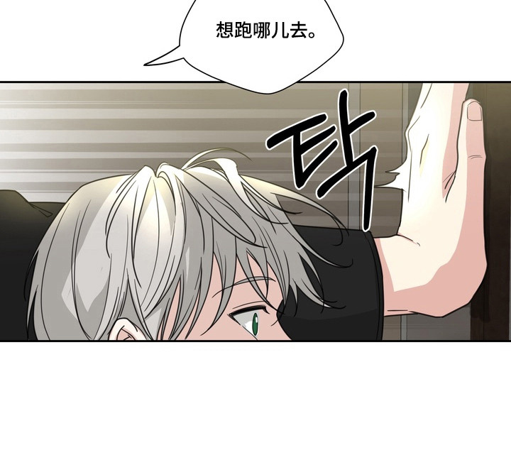 第27话29