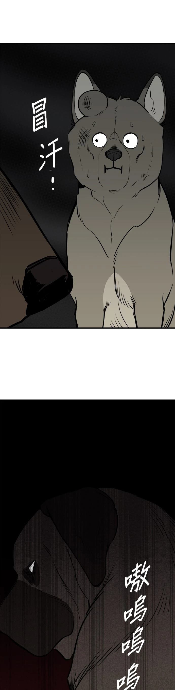 第8话11