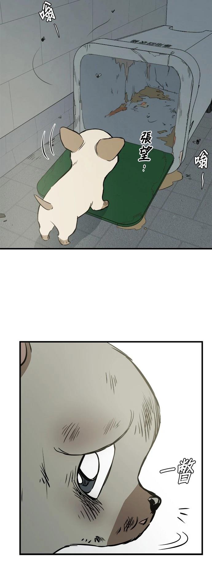 第10话11