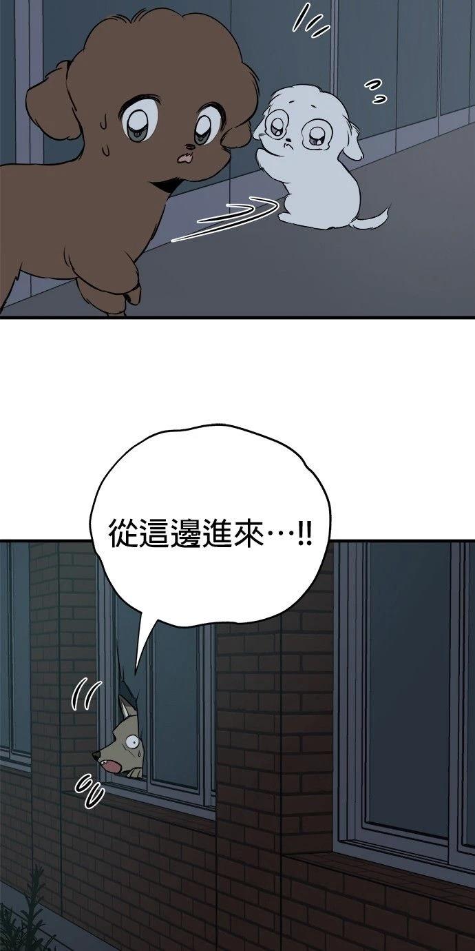 第12话18