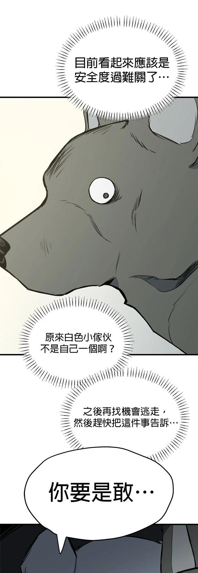 第11话12