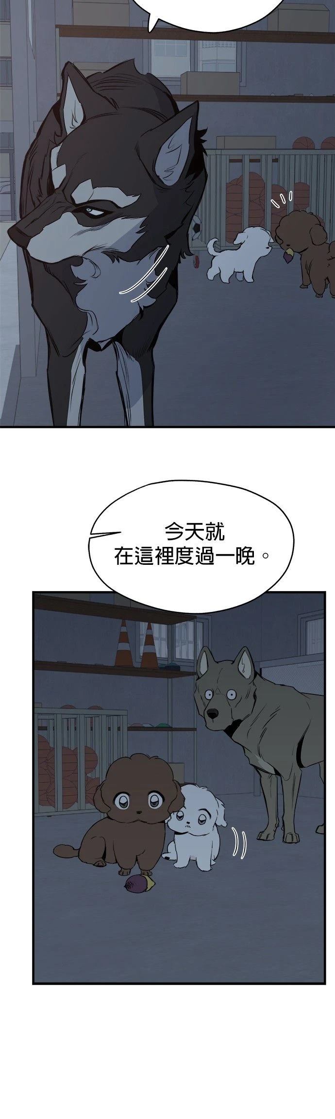 第11话19