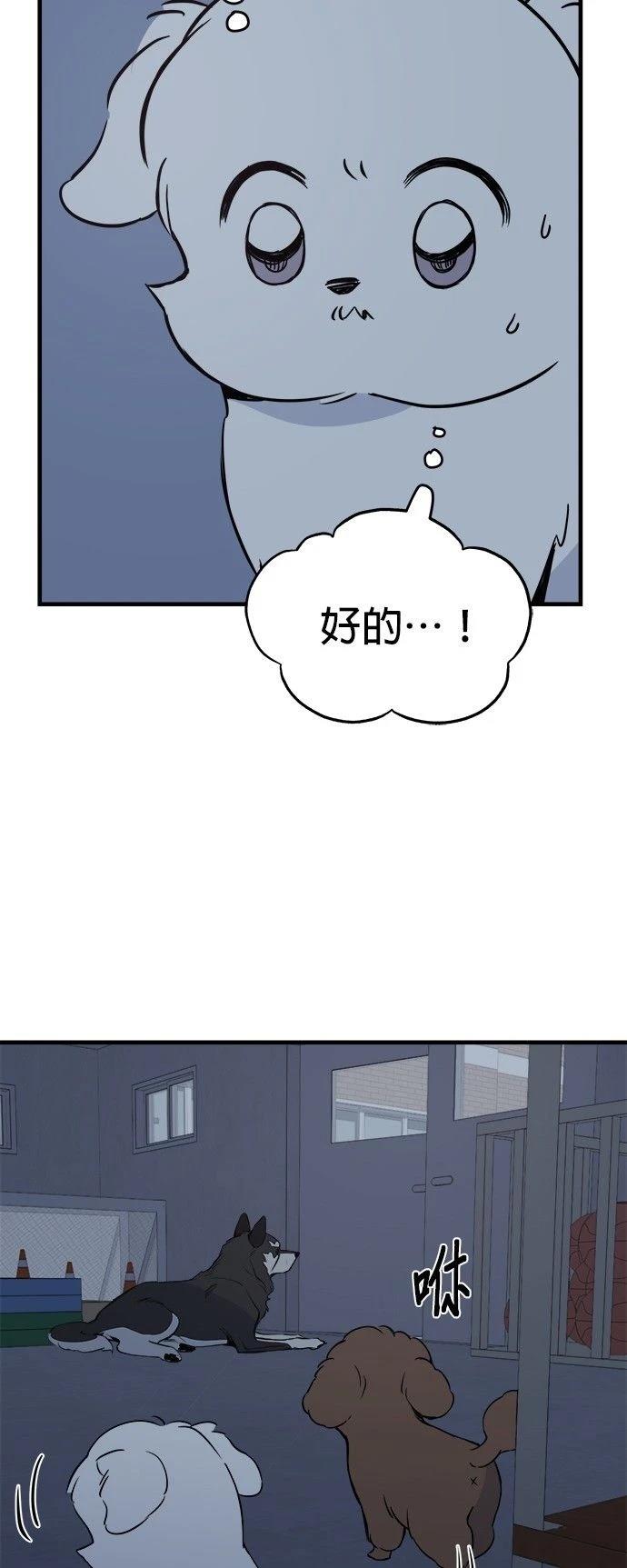 第11话22