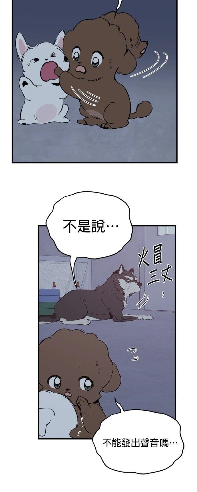 第11话31