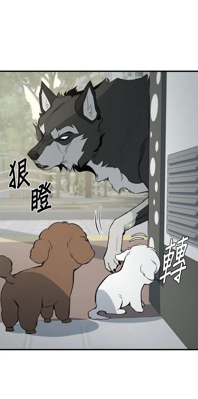 第11话8