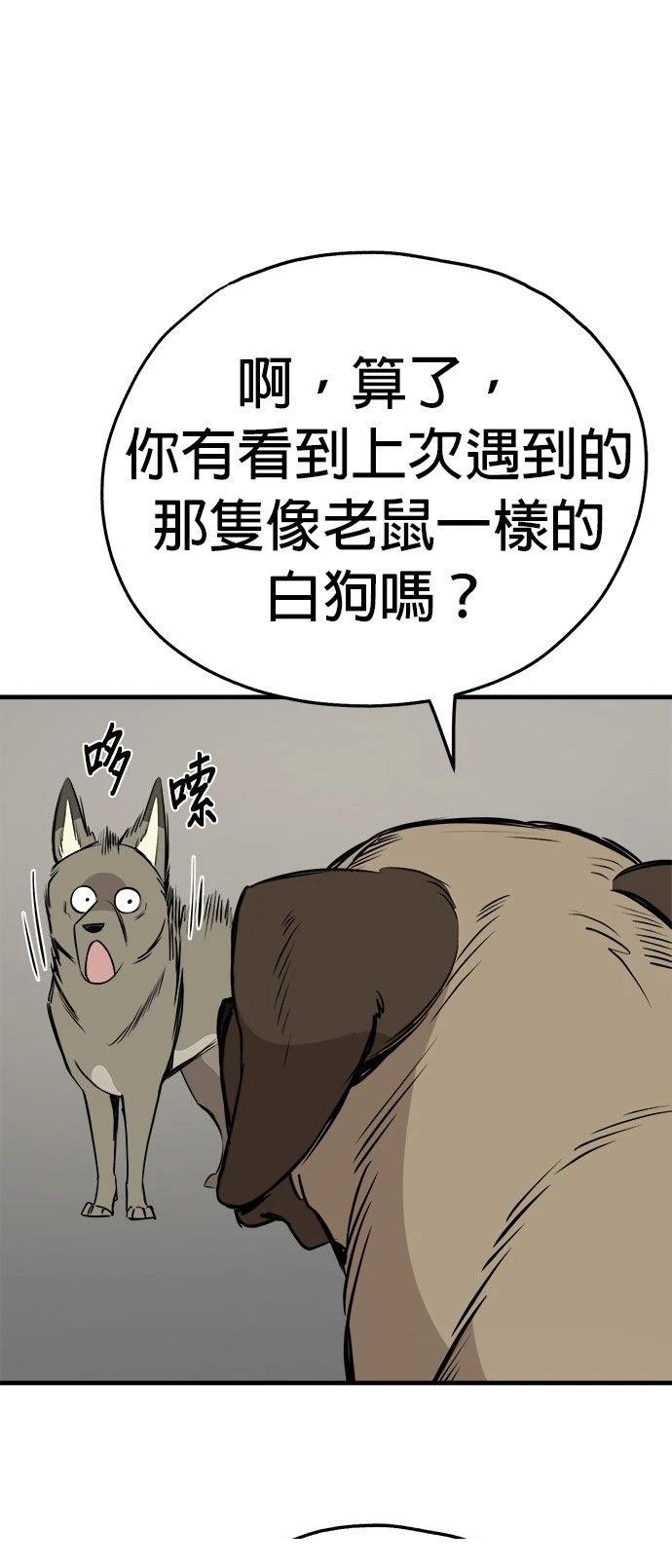 第19话22