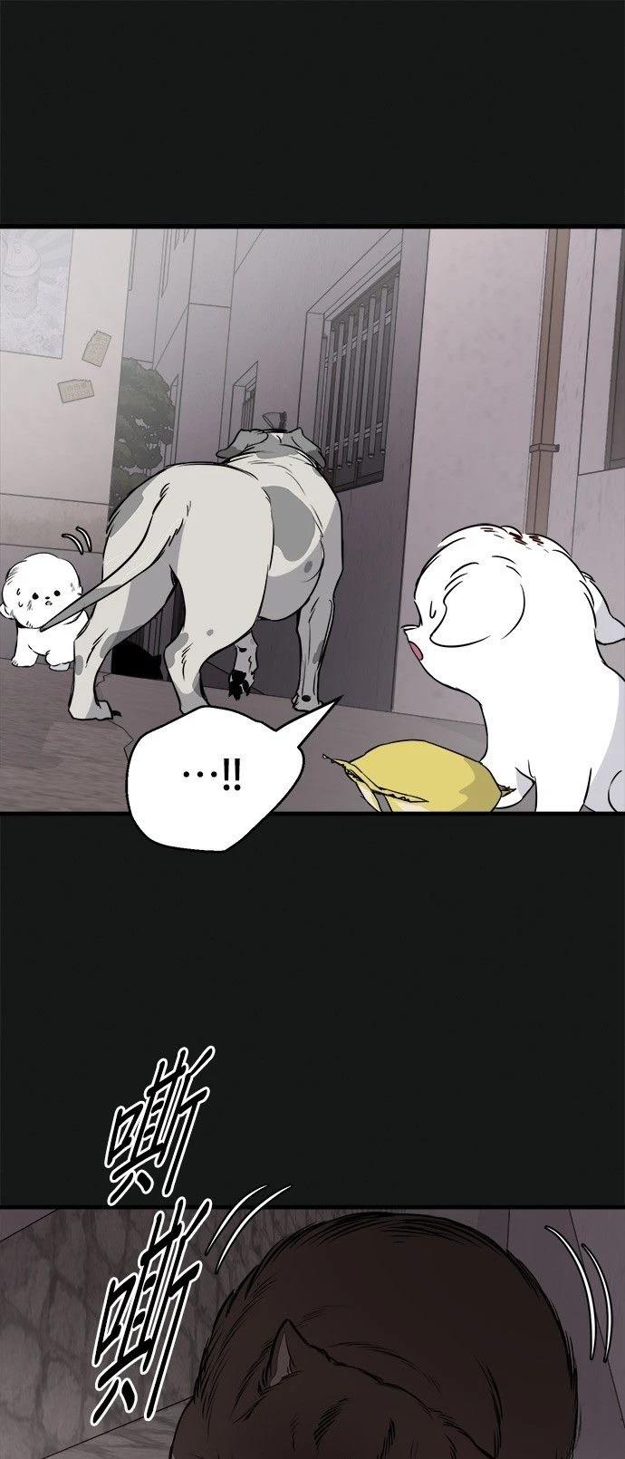 第19话4