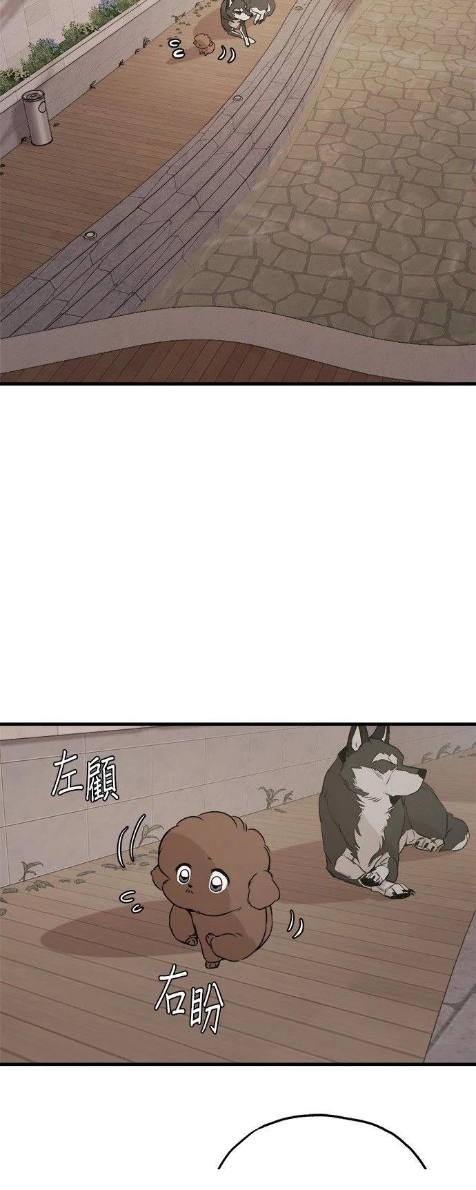 第19话61