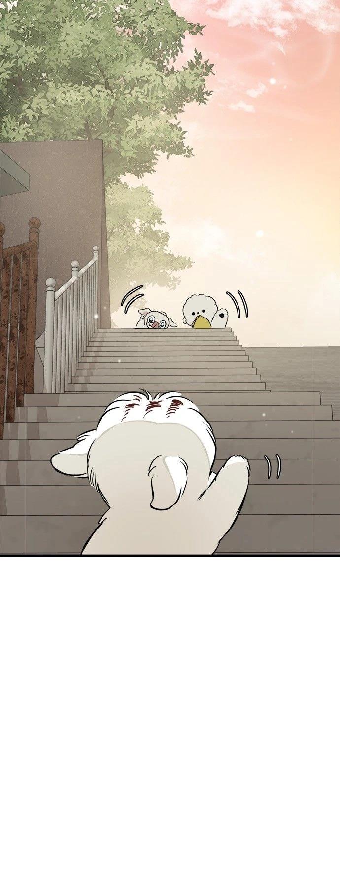 第20话19