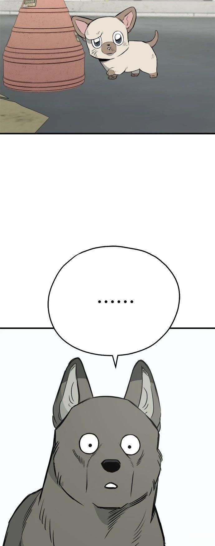 第23话21