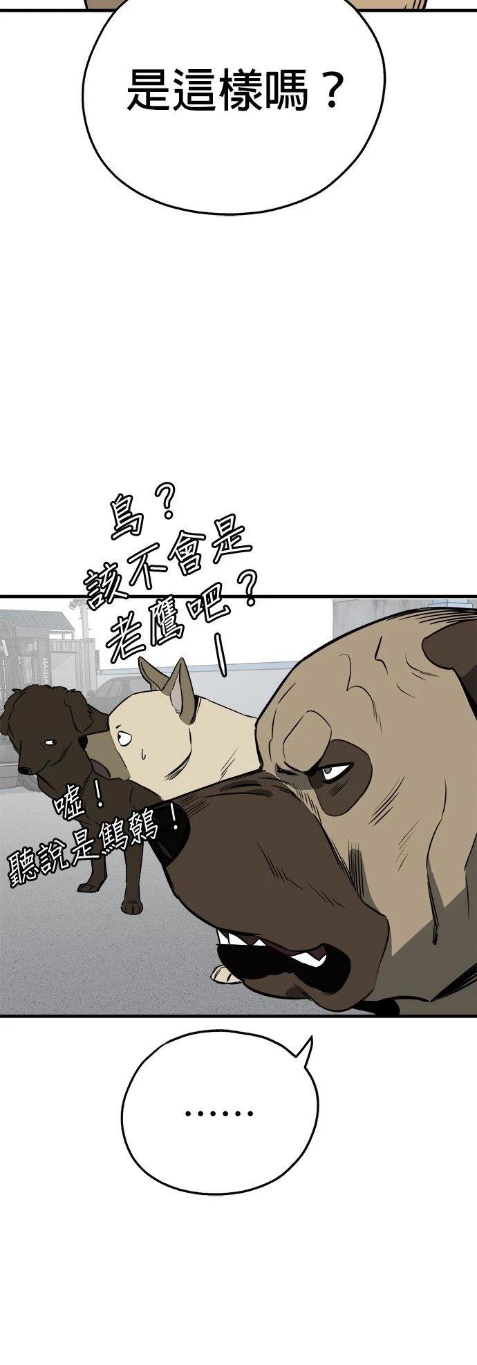 第29话3