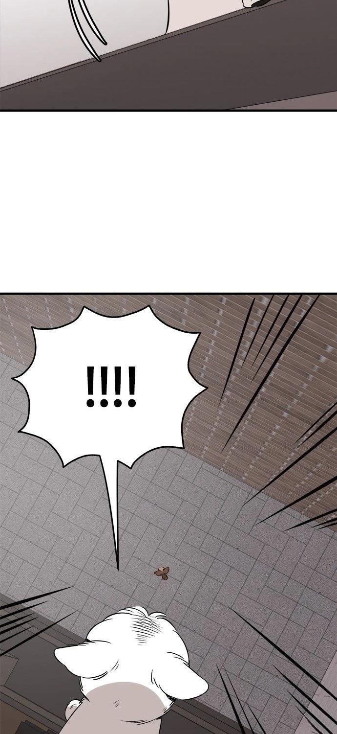 第30话66