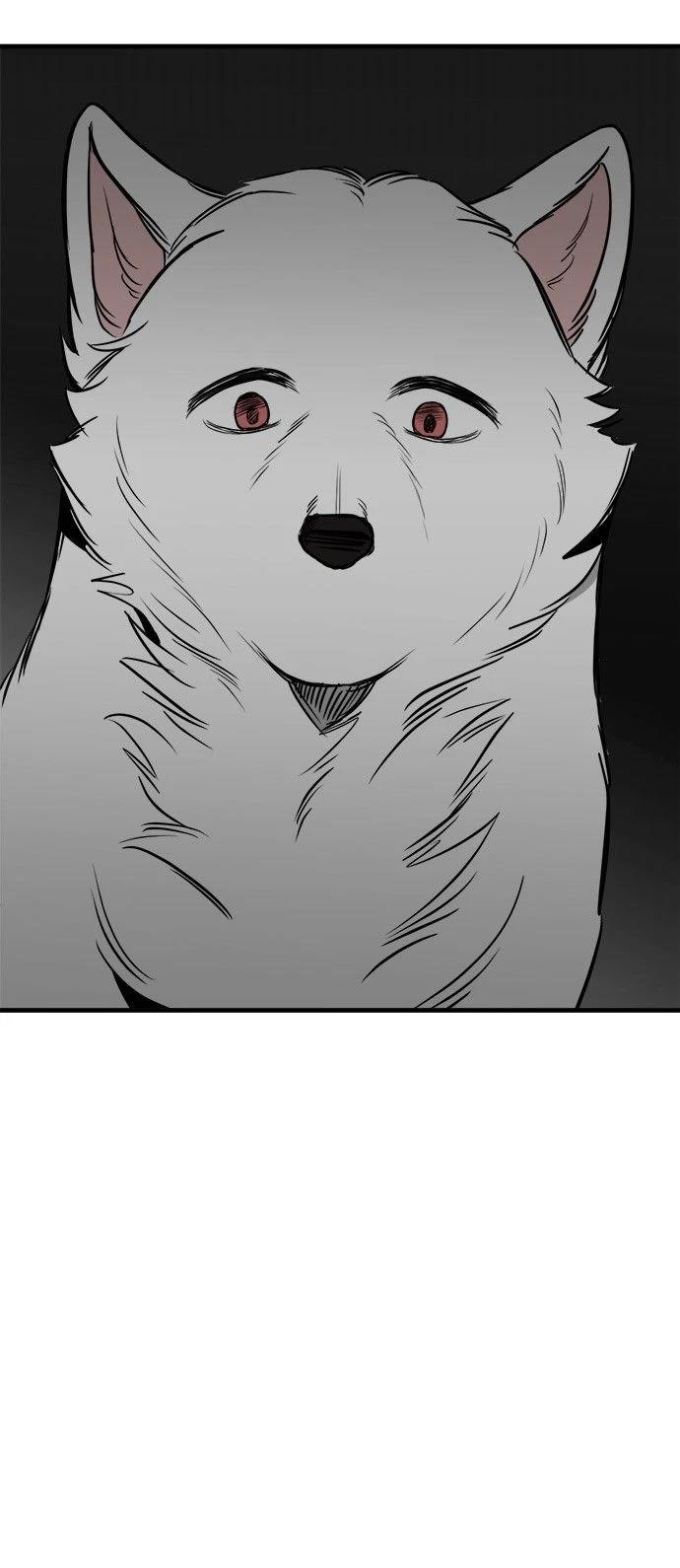 第40话31