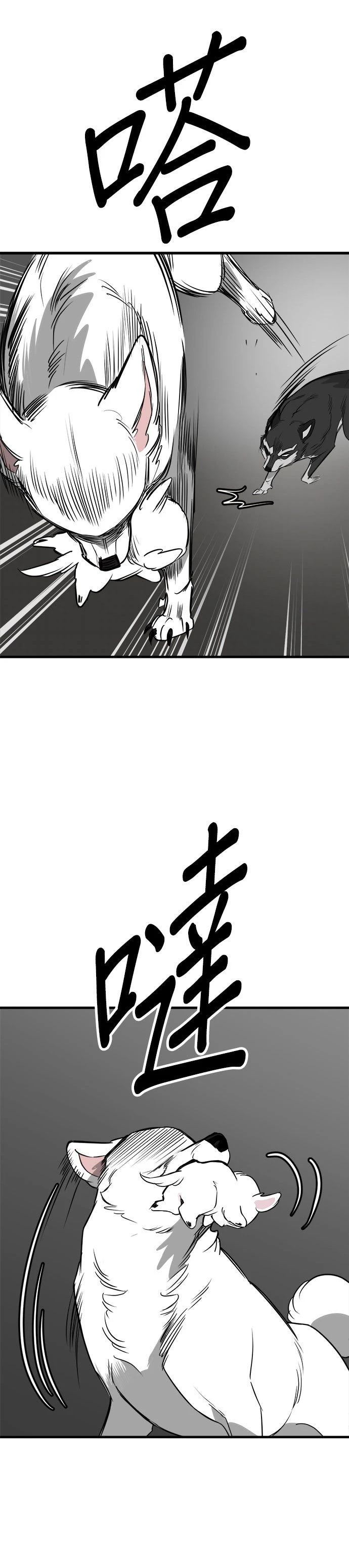 第55话16