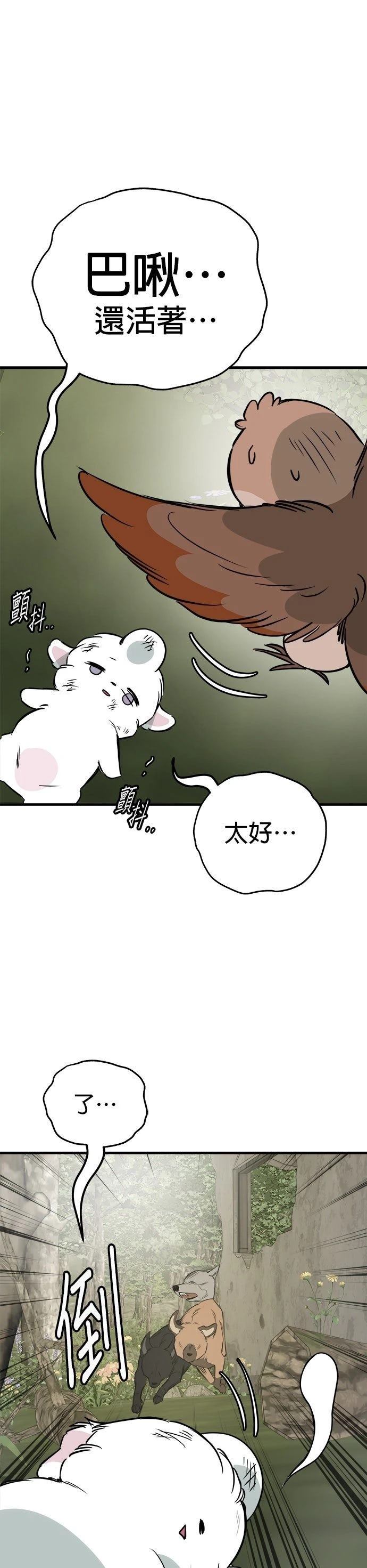 第55话29