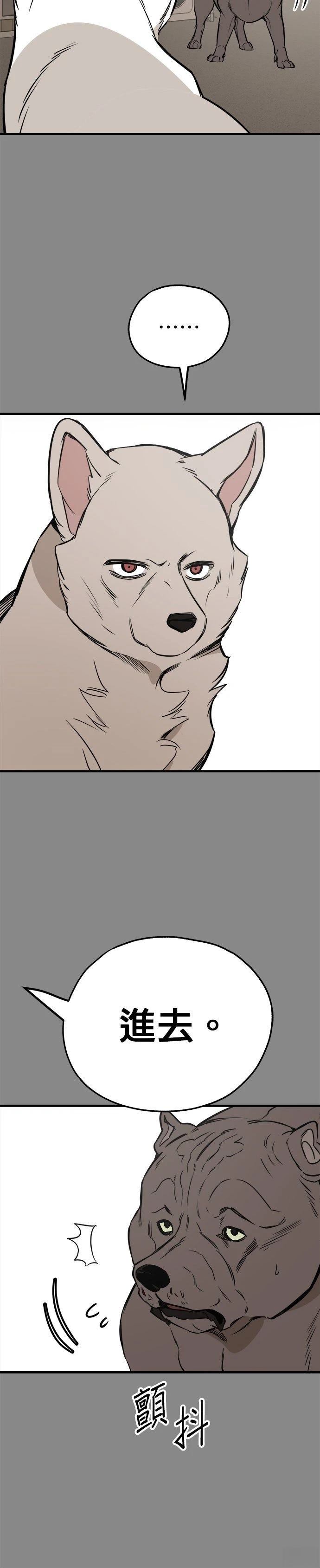 第59话11