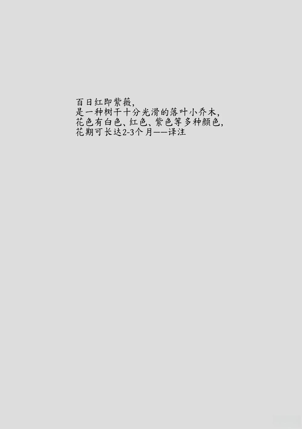 第2话13