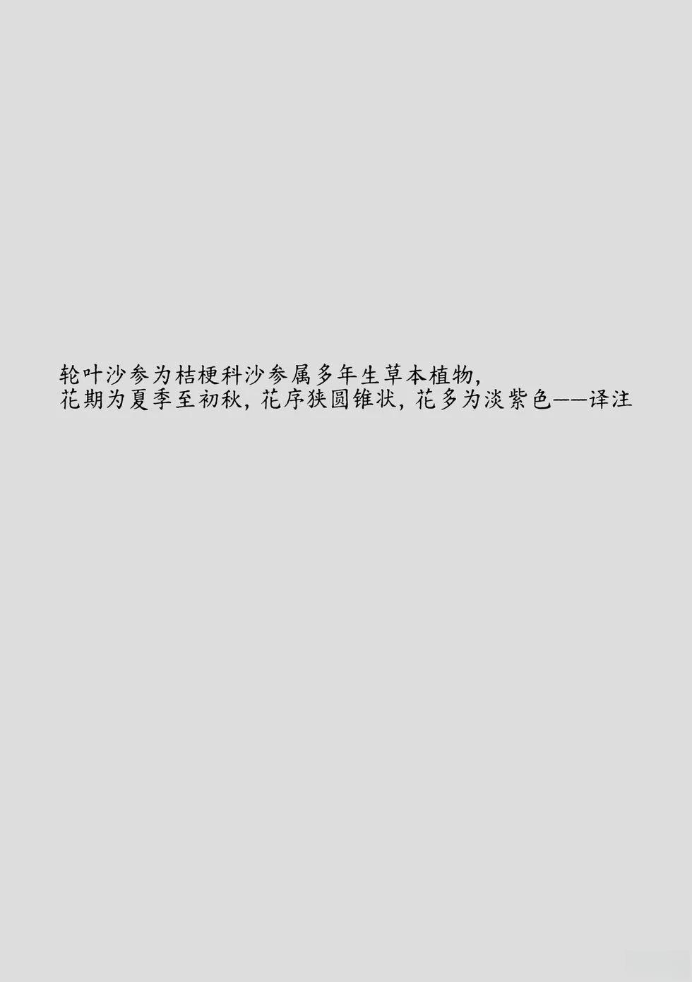 第14话13