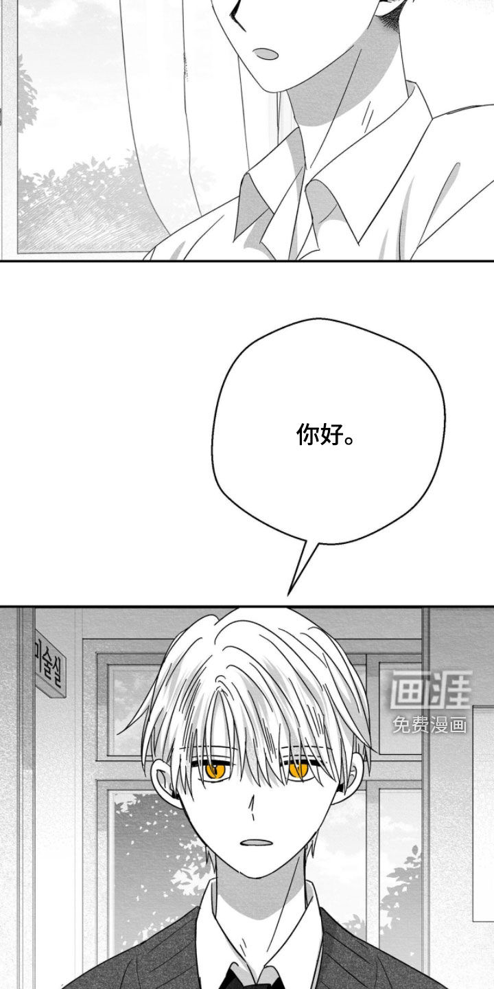 第110话18