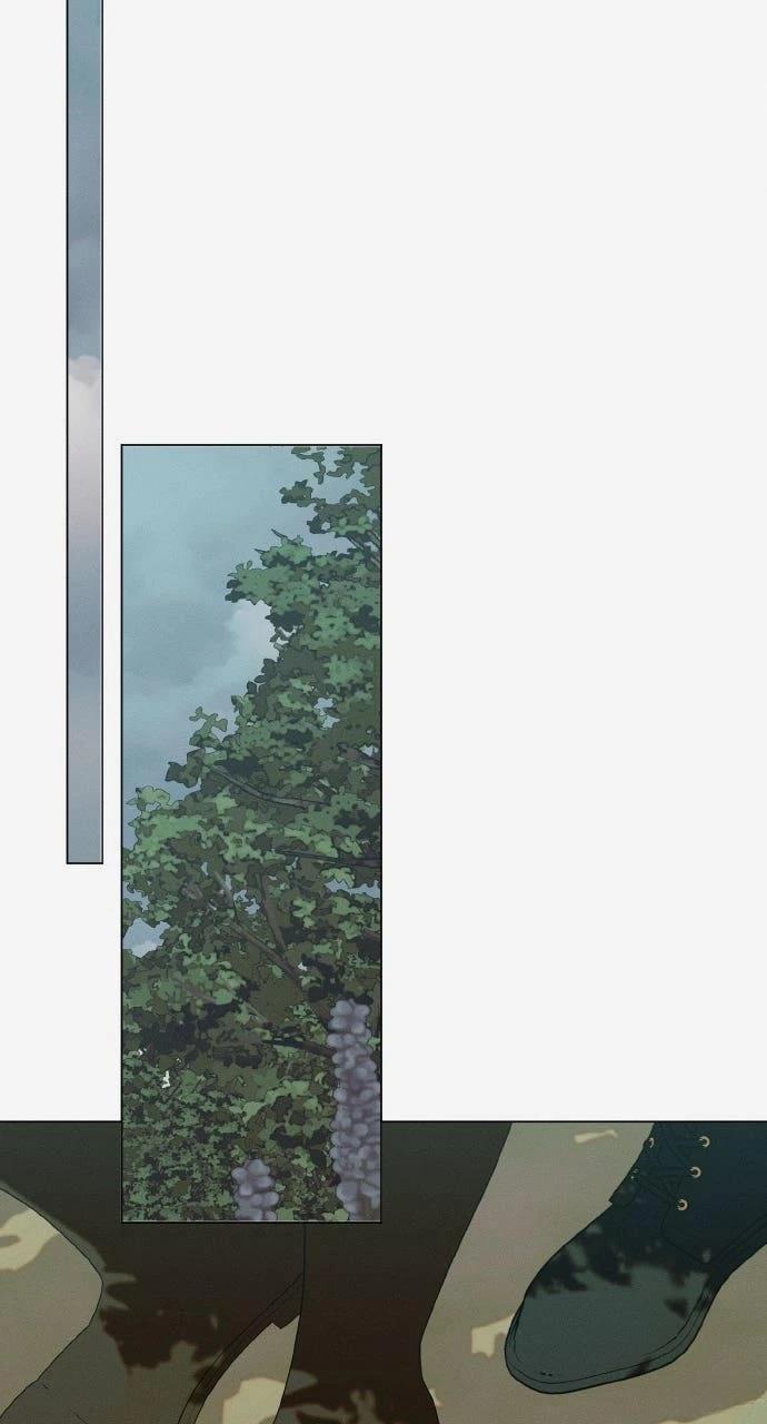 第31话15