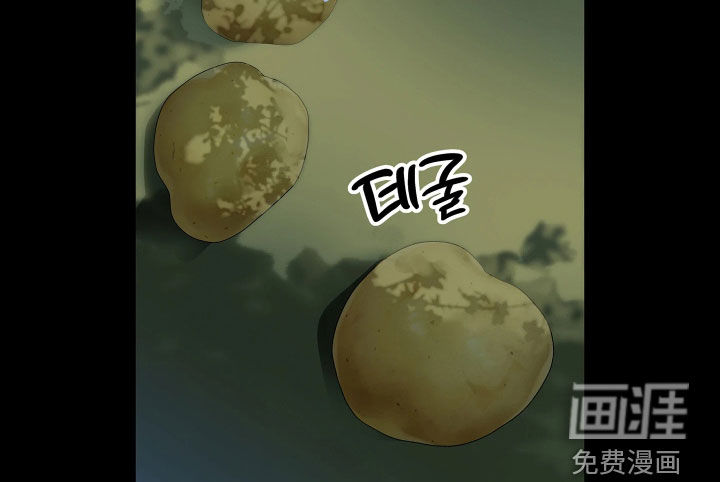 第31话17