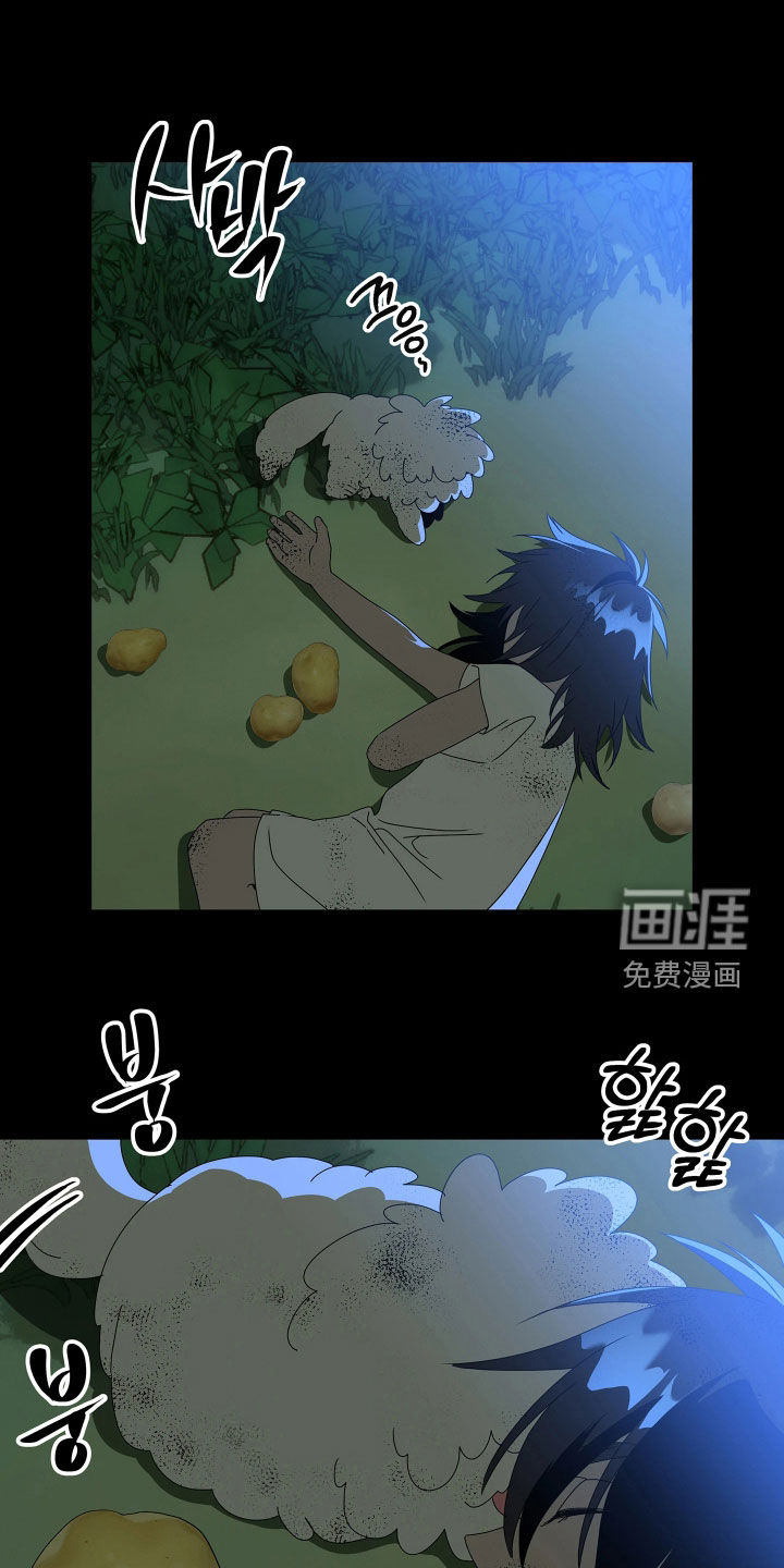 第31话19