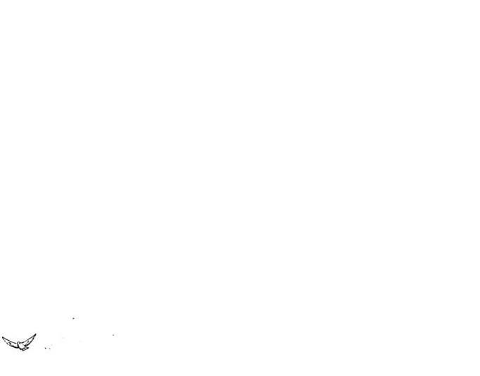 第4卷152