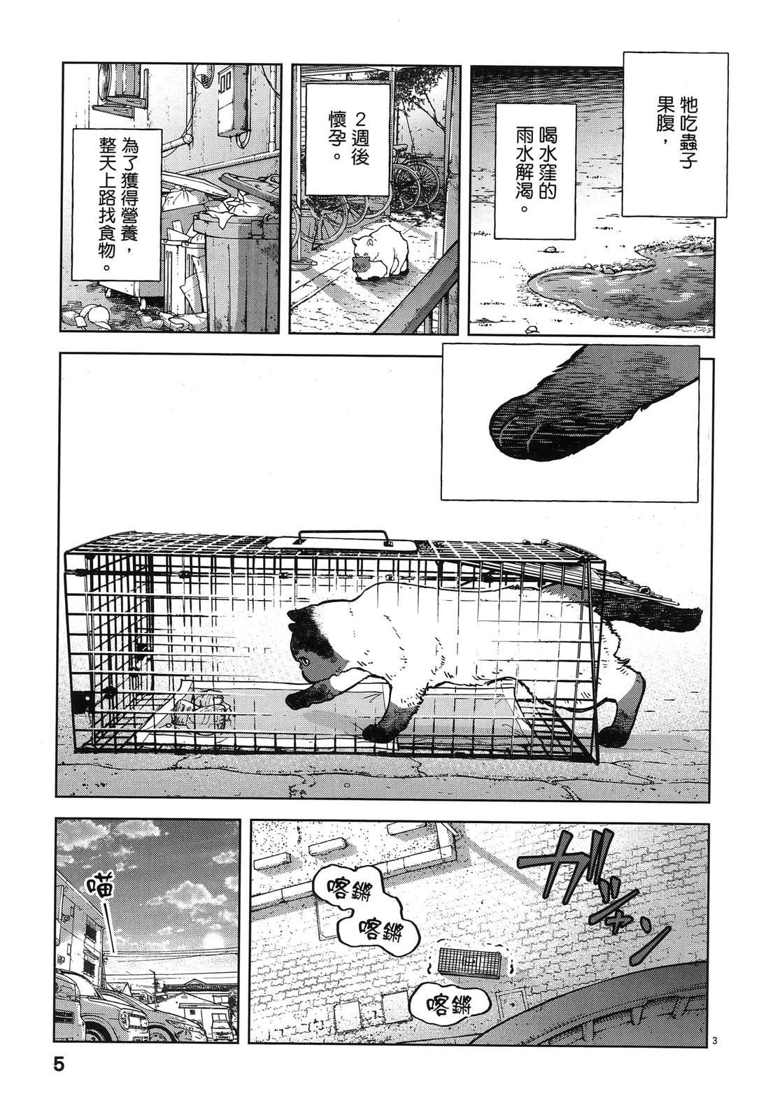 第1卷8