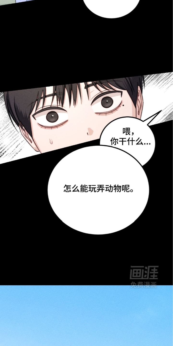 第46话15