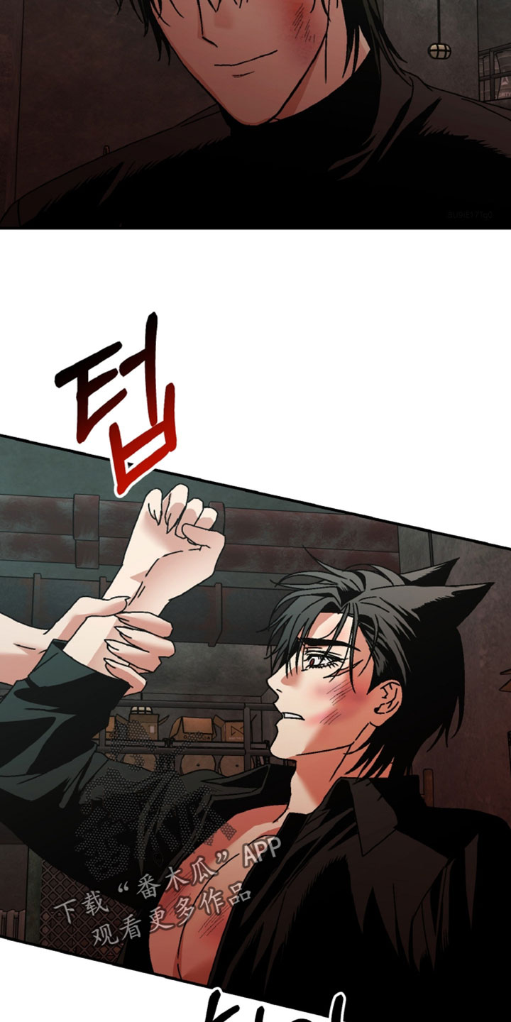 第23话15