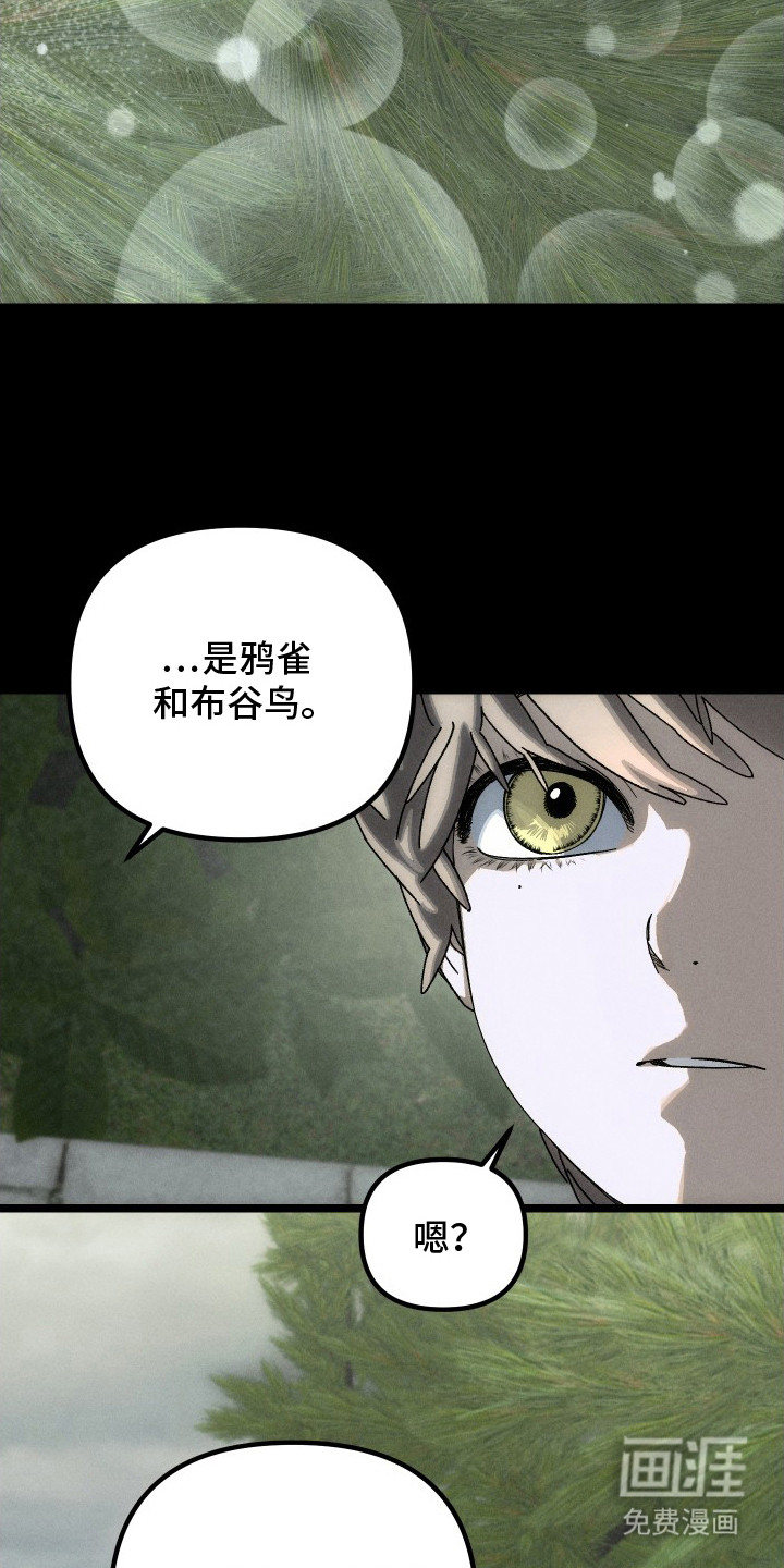 第11话12