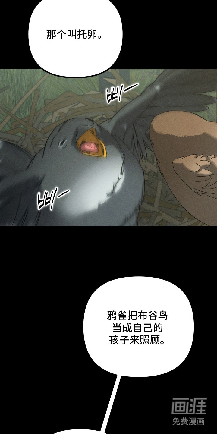 第11话14
