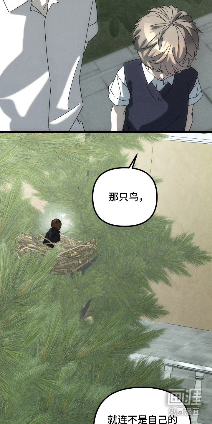 第11话16