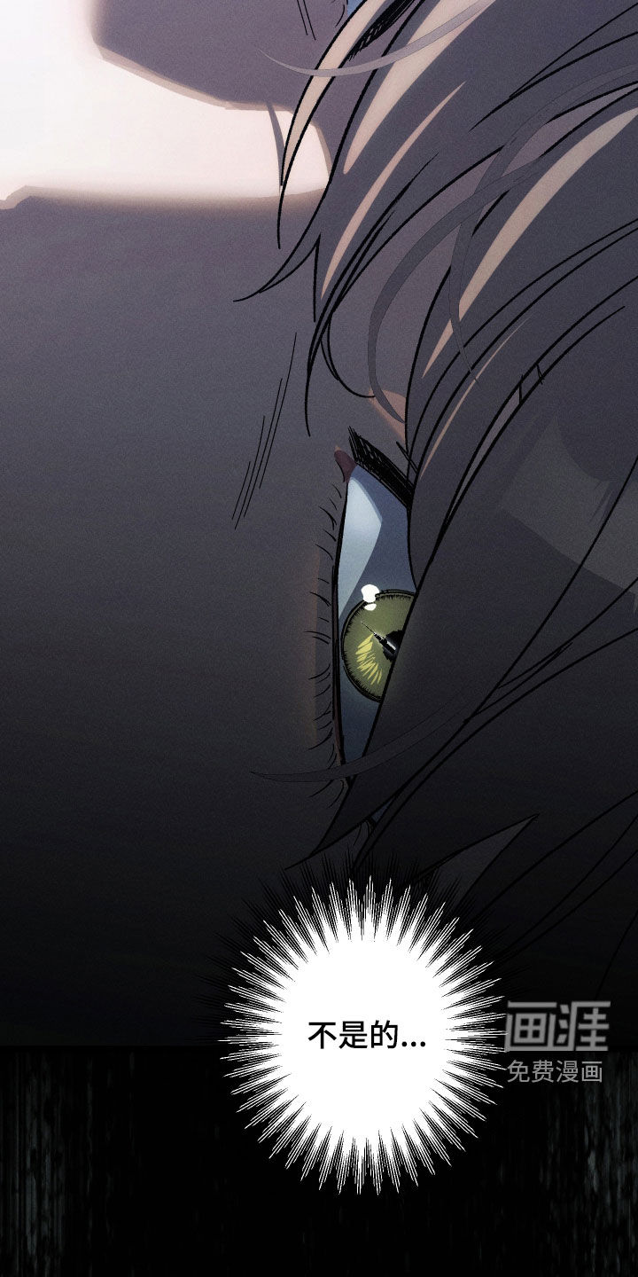 第29话33