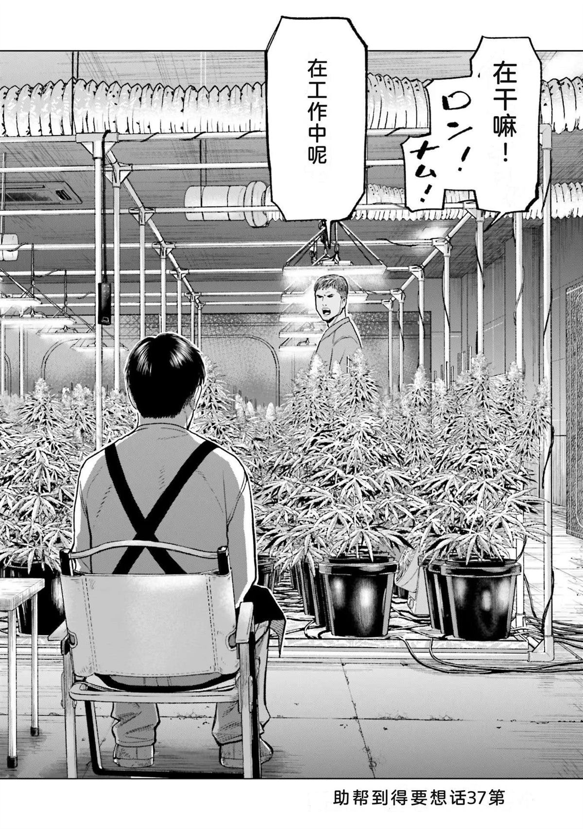 第6卷31
