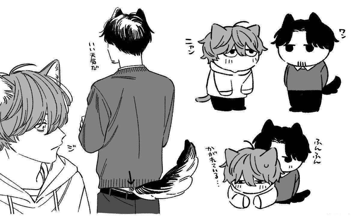 插图12
