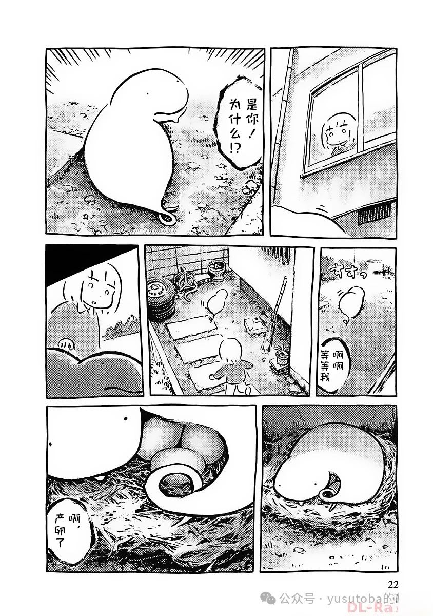 发现土槌蛇17