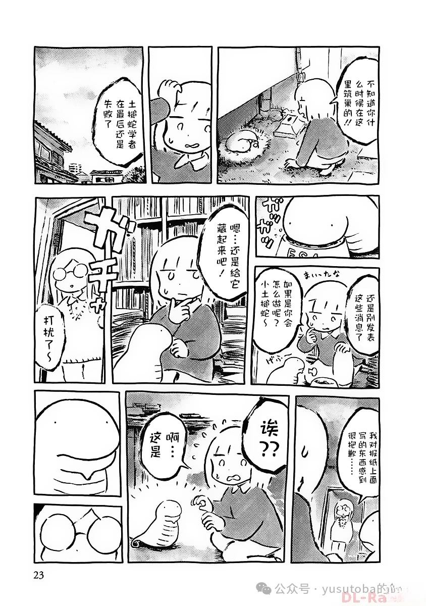 发现土槌蛇18