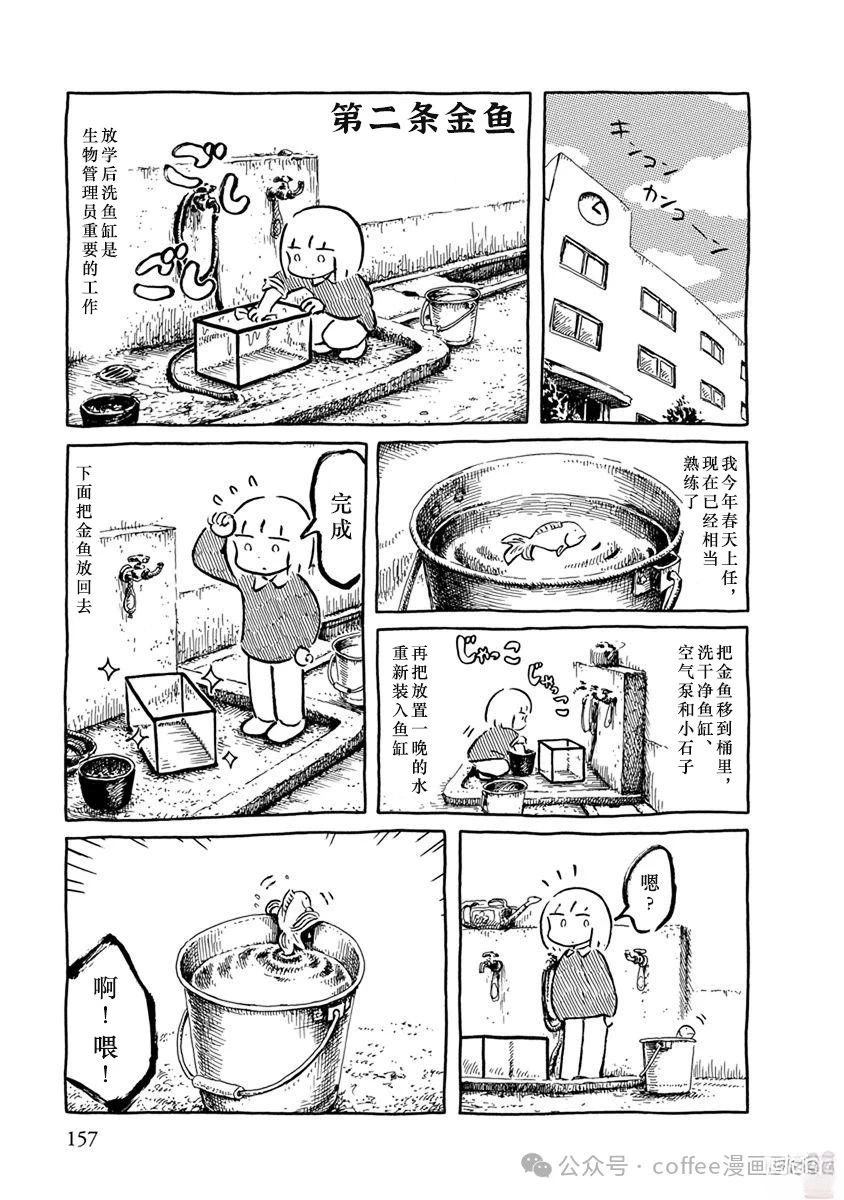 第二条金鱼0