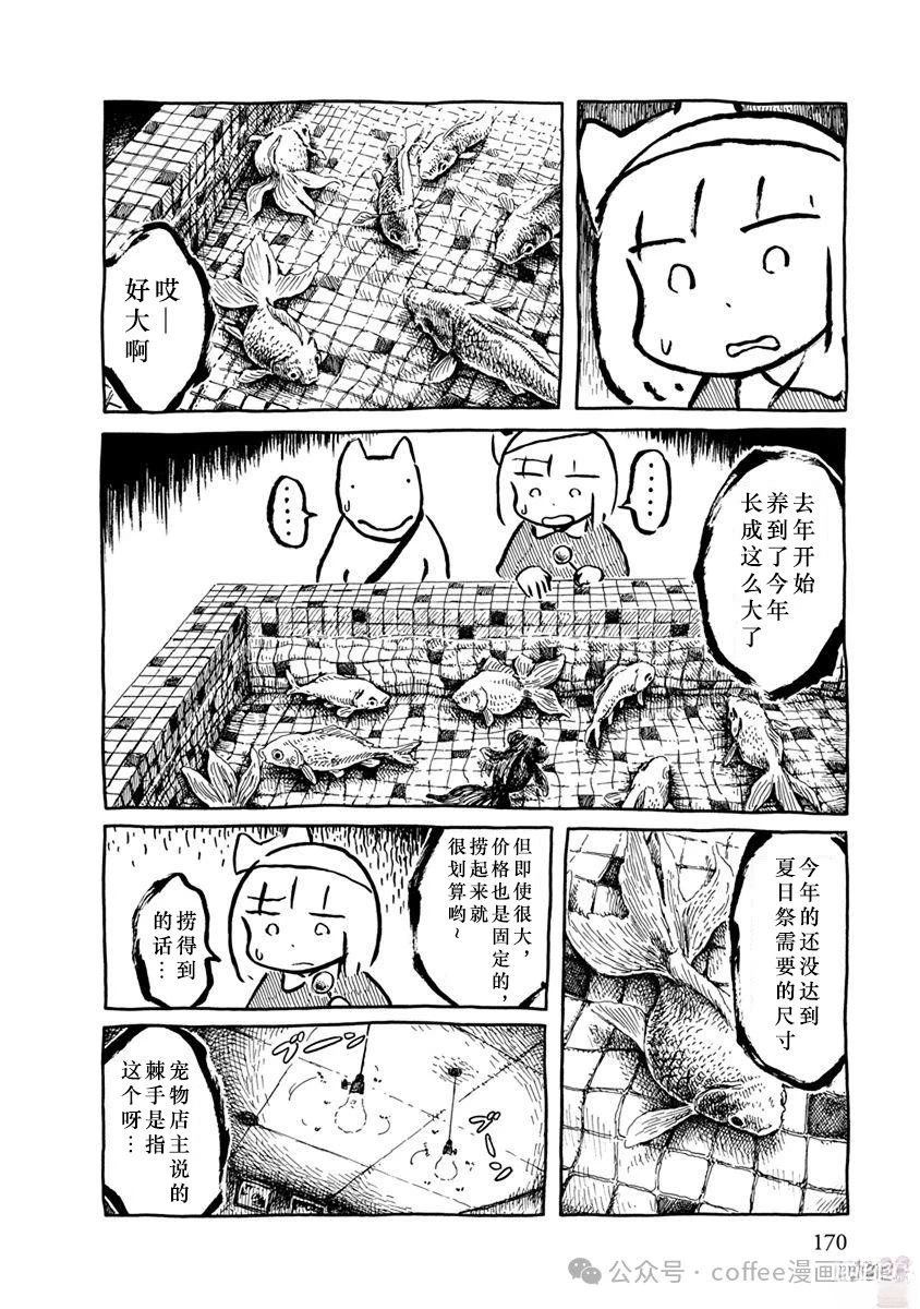 第二条金鱼13