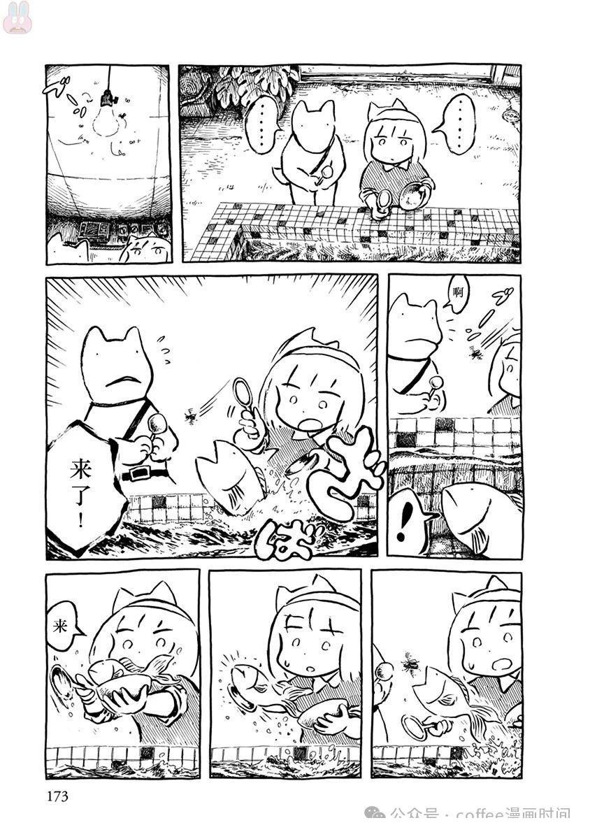 第二条金鱼16