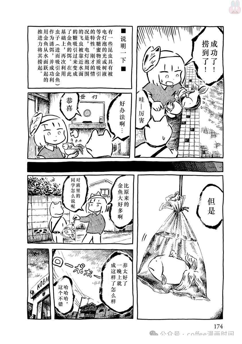 第二条金鱼17