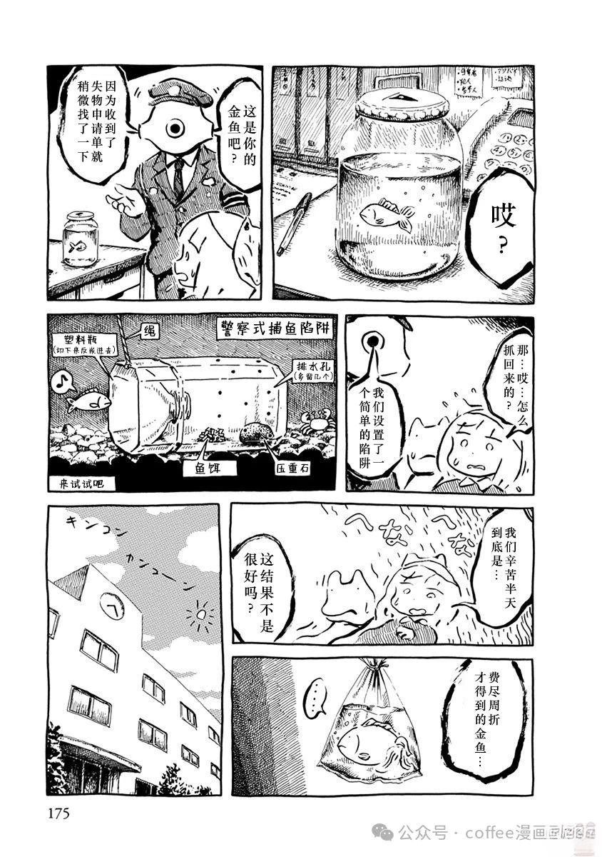 第二条金鱼18