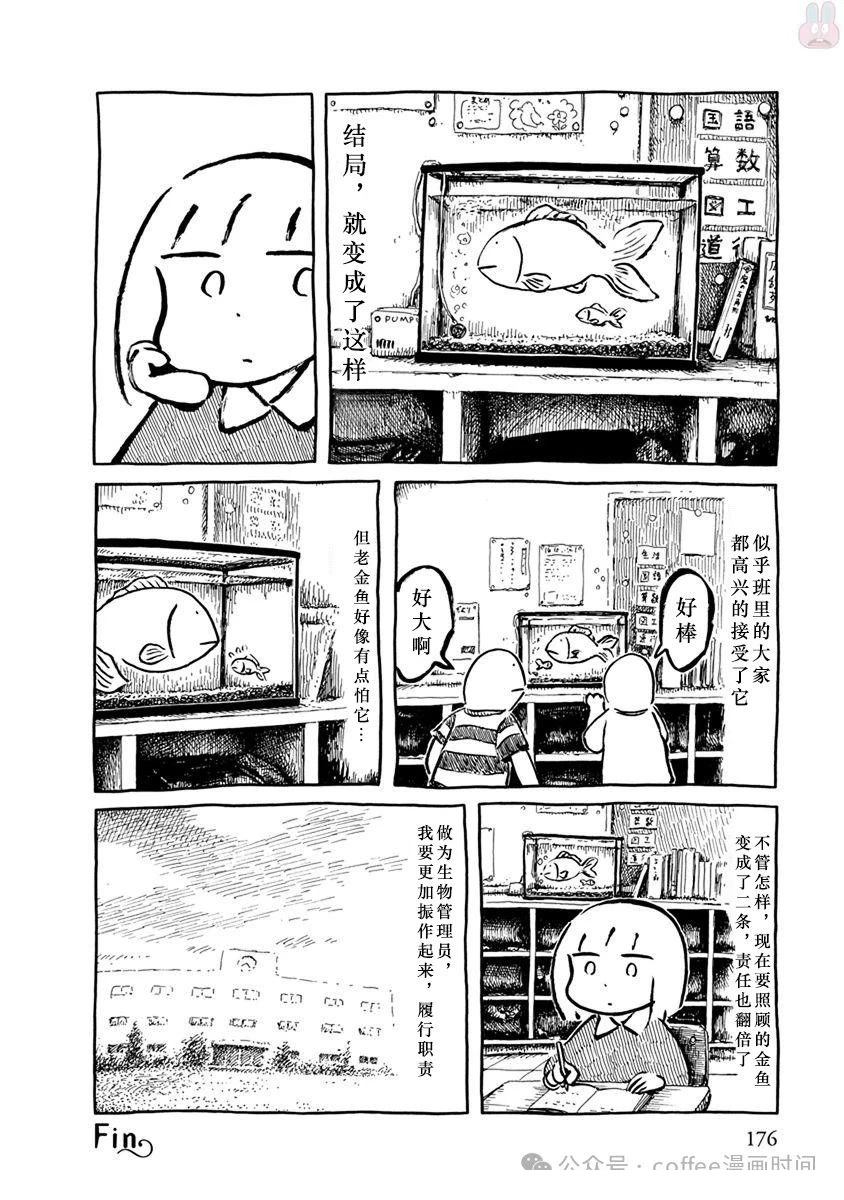 第二条金鱼19