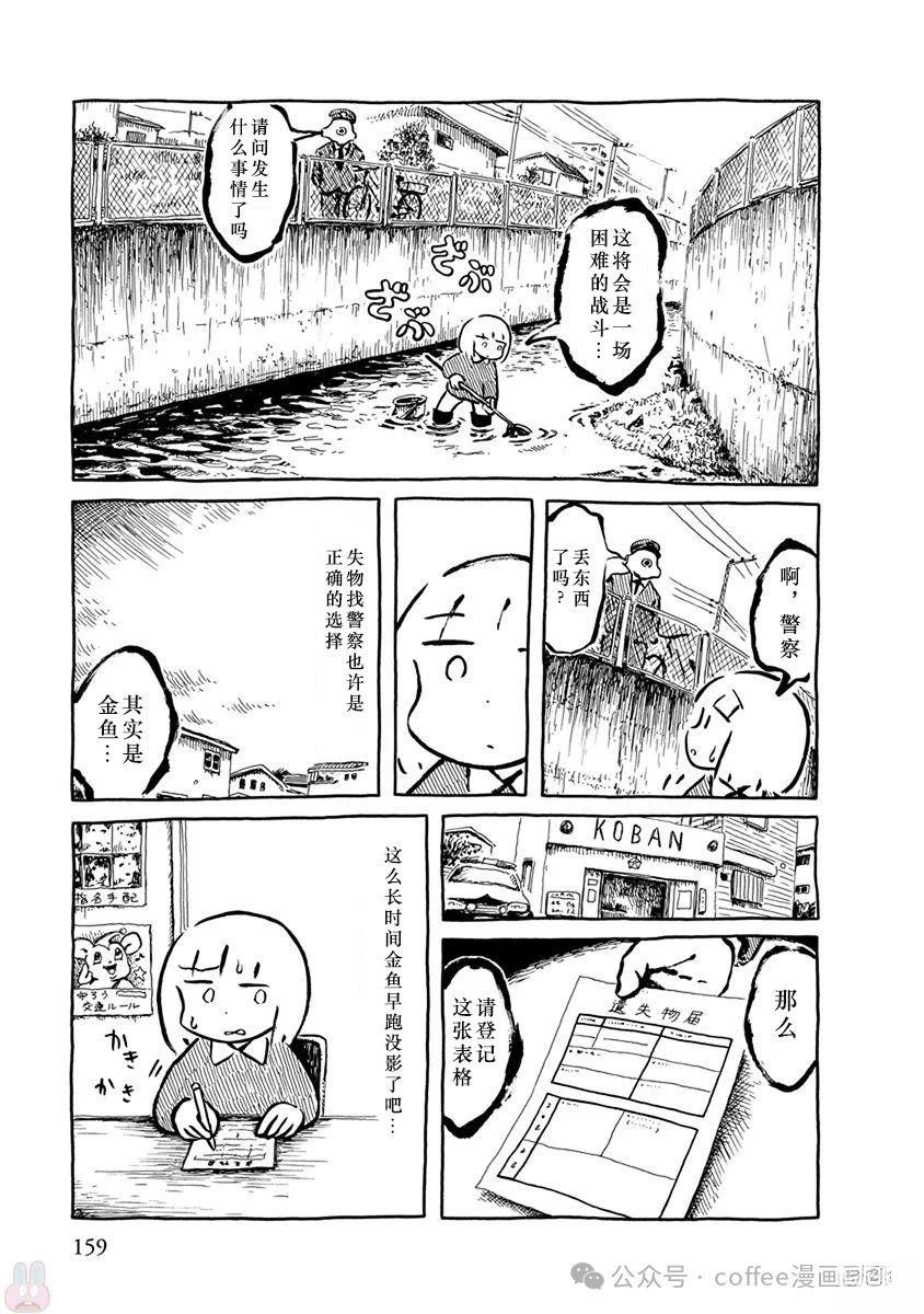 第二条金鱼2